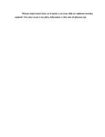 Referāts '"LNT ziņu" un "Panorāmas" salīdzinājums', 8.