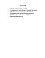 Referāts '"LNT ziņu" un "Panorāmas" salīdzinājums', 9.