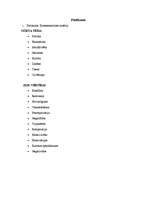 Referāts '"LNT ziņu" un "Panorāmas" salīdzinājums', 11.