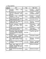 Referāts '"LNT ziņu" un "Panorāmas" salīdzinājums', 13.