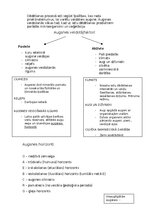 Konspekts 'Pedosfēra (augsne)', 2.