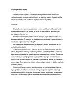 Referāts 'Inovatīvās darbības subjektu raksturojums', 3.