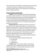 Referāts 'Inovatīvās darbības subjektu raksturojums', 6.