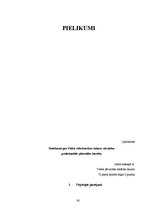 Diplomdarbs 'Valsts robežsardzes imigrācijas sakaru virsnieku darbības ārvalstīs tiesiskā pro', 80.