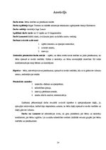 Paraugs 'Bērnu tiesības un pienākumi skolās', 24.