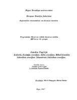 Konspekts 'Līderis. Iezīmju teorijas. Stilu teorijas', 1.