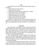 Konspekts 'Līderis. Iezīmju teorijas. Stilu teorijas', 2.