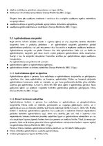 Referāts 'Latvijas apdrošināšanas tirgus raksturojums', 6.