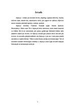 Referāts 'Aspazija', 3.