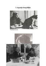 Referāts 'Aspazija', 7.