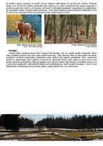 Konspekts 'Savvaļas zālēdāju ganības lauku saimniecībā', 4.