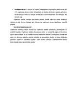 Referāts 'Līzingi, faktorings, investīcijas', 7.