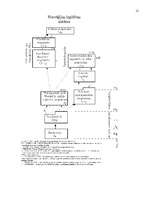 Referāts 'Izglītības sistēma Latvijā un Norvēģijā', 12.