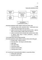 Referāts 'AS "Latvijas Balzams"', 12.