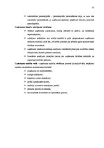 Referāts 'AS "Latvijas Balzams"', 33.