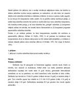 Konspekts 'Trijstūra mīlestības skalas modeļu validācija', 6.