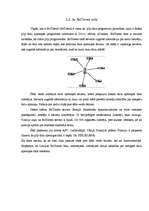 Referāts 'Pirātisms', 14.