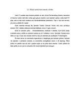 Referāts 'Pirātisms', 15.