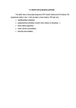 Referāts 'Pirātisms', 21.