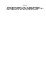 Referāts 'Pirātisms', 28.