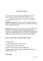 Konspekts 'Slimības, kas skar sejas ādu', 16.