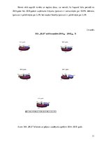 Diplomdarbs 'Uzņēmuma "BLS". Finanšu analīze', 31.