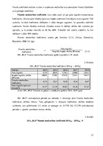 Diplomdarbs 'Uzņēmuma "BLS". Finanšu analīze', 53.