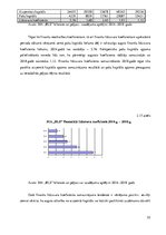 Diplomdarbs 'Uzņēmuma "BLS". Finanšu analīze', 55.