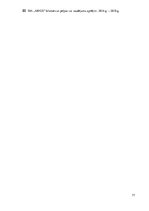 Diplomdarbs 'Uzņēmuma "BLS". Finanšu analīze', 77.