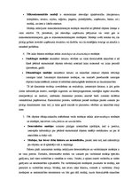 Referāts 'Ekonomiski matemātisko modeļu klasifikācija, to konstruēšana', 6.