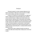 Referāts 'Iekšējā audita ieviešana Latvijā', 13.