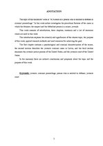 Diplomdarbs 'Nepilngadīgais kā persona, kam ir tiesības uz aizstāvību kriminālprocesā', 3.