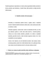 Referāts 'Pilsoniskās sabiedrības nozīme mūsdienu politikā', 7.