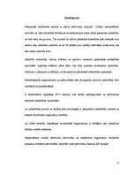 Referāts 'Pilsoniskās sabiedrības nozīme mūsdienu politikā', 12.