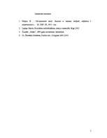 Eseja 'Medmāsas vēlamās un nevēlamās īpašības', 5.