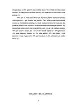 Referāts 'Audita rašanās vēsturiskie aspekti', 9.