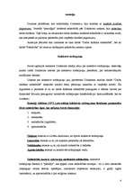 Konspekts 'Emīls Dirkheims', 4.