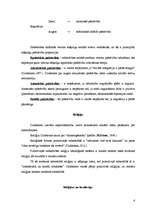 Konspekts 'Emīls Dirkheims', 6.