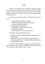 Referāts 'RUT piestātnes ZO-4 būvkonstruksijas un papildelementu tehniskais novērtējums', 6.