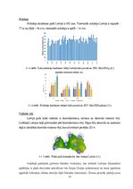 Referāts 'RUT piestātnes ZO-4 būvkonstruksijas un papildelementu tehniskais novērtējums', 12.