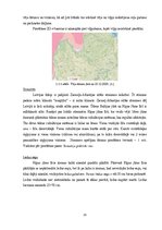 Referāts 'RUT piestātnes ZO-4 būvkonstruksijas un papildelementu tehniskais novērtējums', 15.