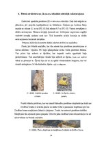 Referāts 'RUT piestātnes ZO-4 būvkonstruksijas un papildelementu tehniskais novērtējums', 24.