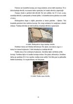 Referāts 'RUT piestātnes ZO-4 būvkonstruksijas un papildelementu tehniskais novērtējums', 25.