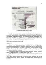 Referāts 'Darbinieku motivācijas analīze SIA "VC"', 7.