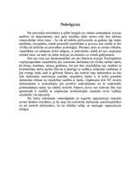 Referāts 'Darbinieku motivācijas analīze SIA "VC"', 18.