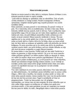 Eseja 'Mana krāsainā pasaule', 1.