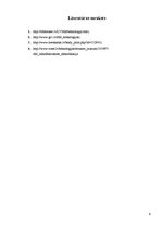 Referāts 'RFID - tehnoloģiju pielietojums izkārtotajā materiāli tehniskajā nodrošinājumā', 6.