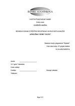 Referāts 'Biznesa plānam izvēlētās industrijas un produkta analīze', 1.