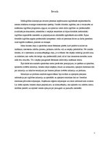 Referāts 'Biznesa plānam izvēlētās industrijas un produkta analīze', 3.