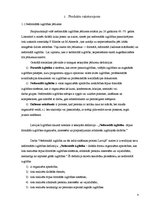 Referāts 'Biznesa plānam izvēlētās industrijas un produkta analīze', 4.